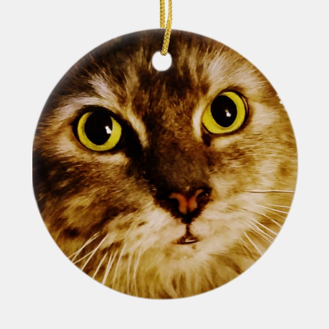 SWEET FACE KITTY  CERAMIC TREE DECORATION (Front)