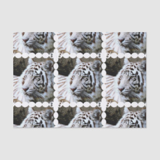 Sweet Faced White Tiger Tissue Paper