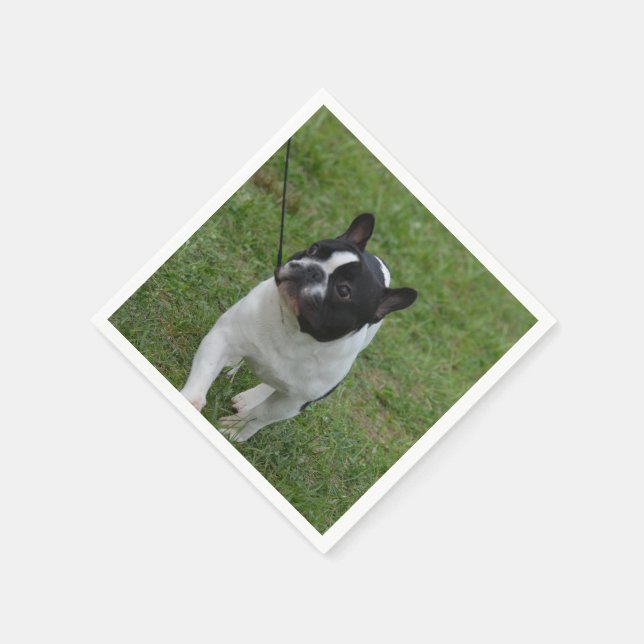 Sweet French Bulldog Napkin (Corner)