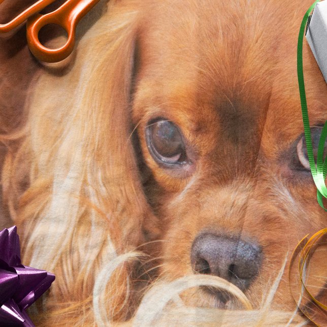 Sweet Friend Cavalier King Charles Tissue Paper (Creator Uploaded)