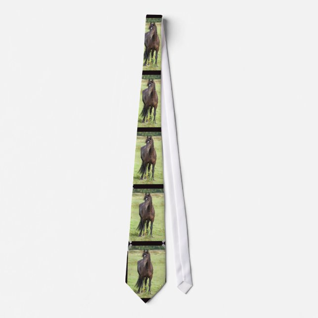 Sweet Friesian Horse Tie (Front)