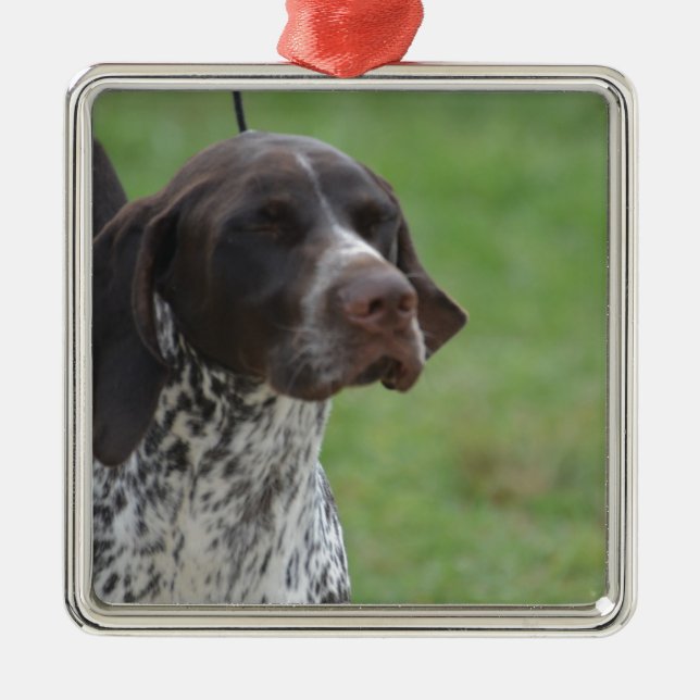 Sweet German Shorthaired Pointer Metal Tree Decoration (Front)
