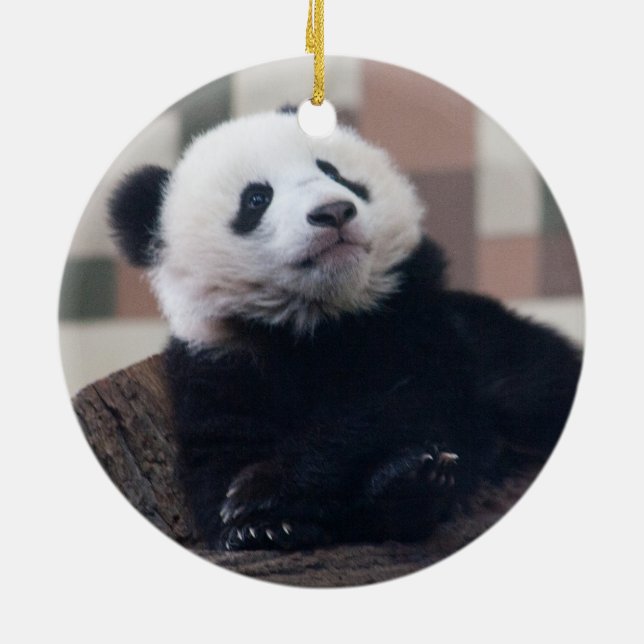 Sweet Giant Panda Baby Ceramic Tree Decoration (Back)