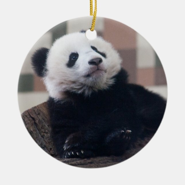 Sweet Giant Panda Baby Ceramic Tree Decoration (Front)