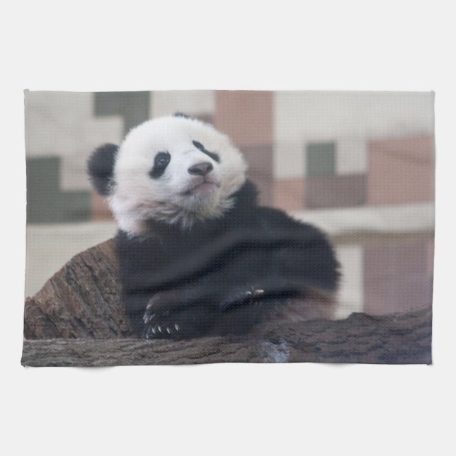 Sweet Giant Panda Baby Tea Towel (Horizontal)