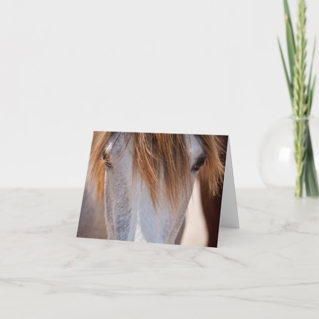 Sweet Ginger Horse photo note card (Front)