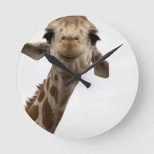Sweet Giraffe Round Clock