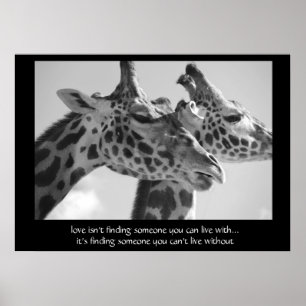 Sweet Giraffes Poster, with quote about love 28x20 Poster