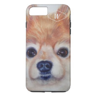 SWEET GOLDEN POMERANIAN