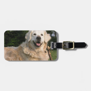 Sweet Golden Retriever Luggage Tag
