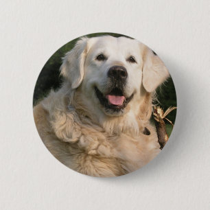 Sweet Golden Retriever Pin