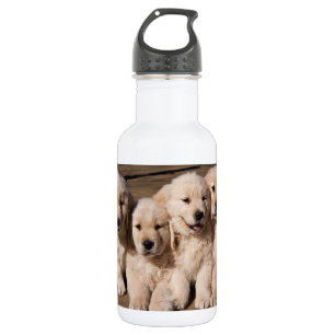 Sweet Golden Retriever Puppies 532 Ml Water Bottle