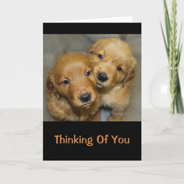 Sweet Golden Retriever Puppies Thinking Of You Card (Front)