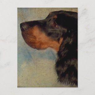 Sweet Gordon Setter Postcard
