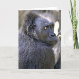 Sweet Gorilla Card