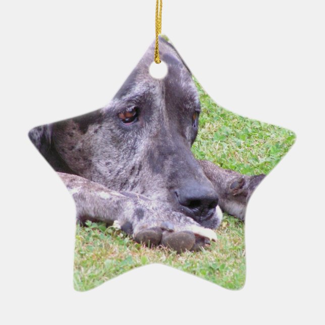Sweet Great Dane Ornament (Front)