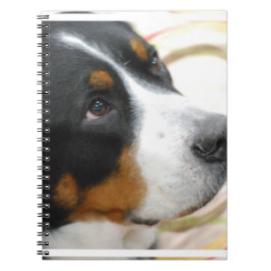 Sweet Greater Swiss Mountain Dog Spiral Notebook