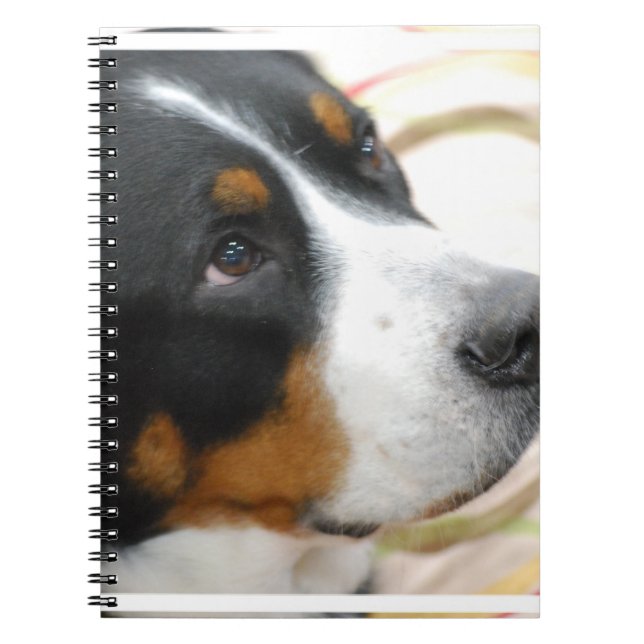 Sweet Greater Swiss Mountain Dog Spiral Notebook (Front)