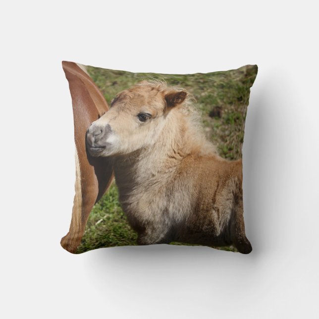 Sweet Haflinger Foal Cushion (Front)