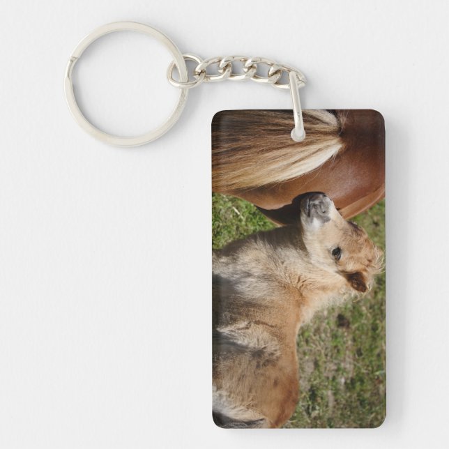 Sweet Haflinger Foal Key Ring (Front)