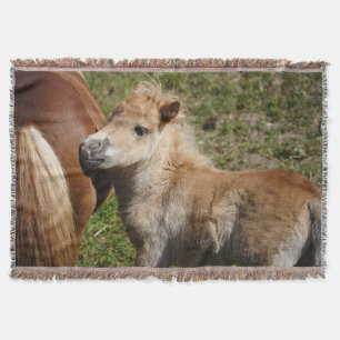Sweet Haflinger Foal Throw Blanket