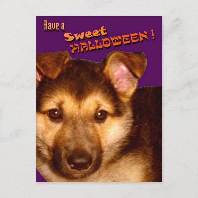 Sweet Halloween Postcard (Front)
