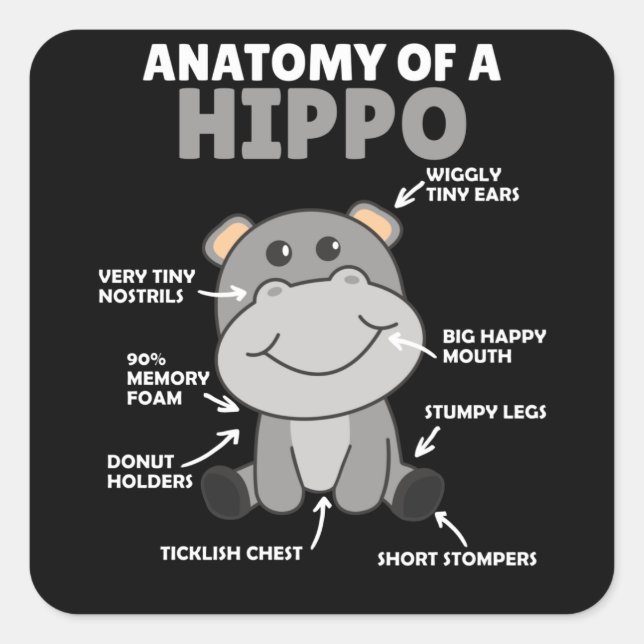 Sweet Hippo Statement Anatomy Of a Hippo Square Sticker (Front)