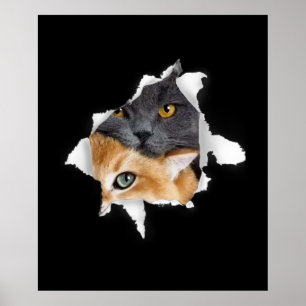 Sweet Kitten Couple   Funny Cat Lover Gift Poster