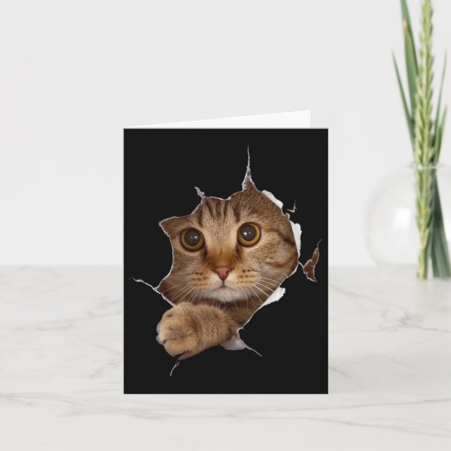 Sweet Kitten Torn Cloth - Funny Cat Lover Cat Owne Card (Front)
