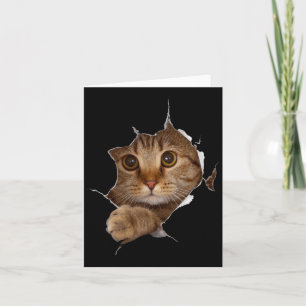 Sweet Kitten Torn Cloth - Funny Cat Lover Cat Owne Card