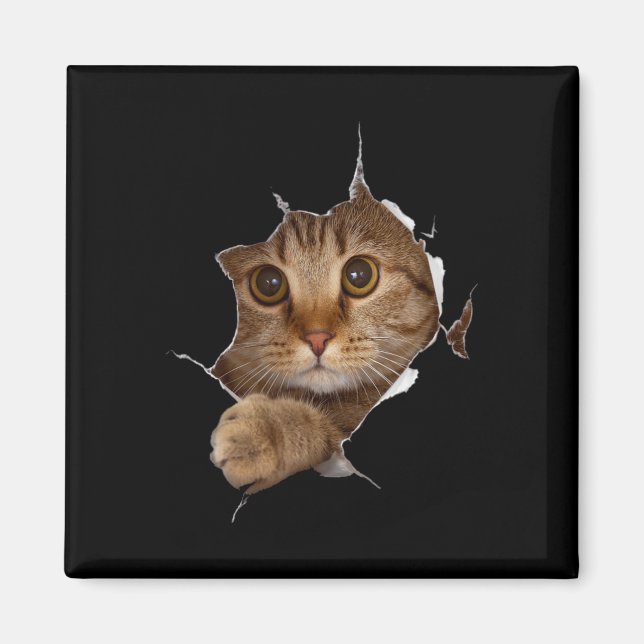 Sweet Kitten Torn Cloth - Funny Cat Lover Cat Owne Magnet (Front)