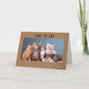 "SWEET KITTENS" HAPPY BIRTHDAY CARD