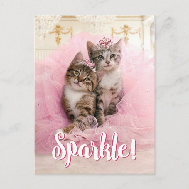 Sweet Kittens in Tiaras and Pink Sparkly Tutu Postcard (Front)