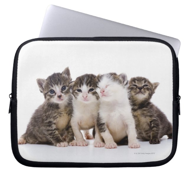 Sweet Kittens Laptop Sleeve (Front)