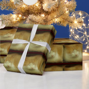 Sweet Kitty Cat Wrapping Paper
