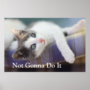 Sweet Kitty In Plaid Bed Poster