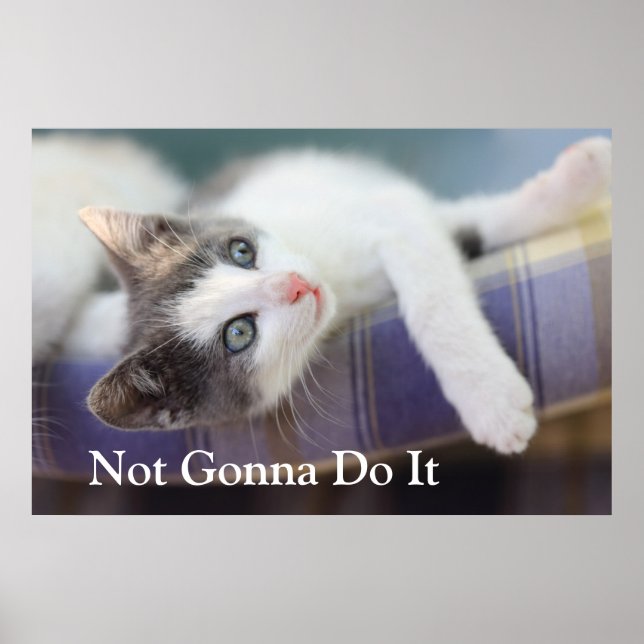 Sweet Kitty In Plaid Bed Poster (Front)