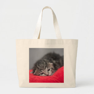 Sweet kitty large tote bag