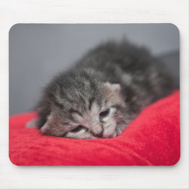 Sweet kitty mouse pad (Front)