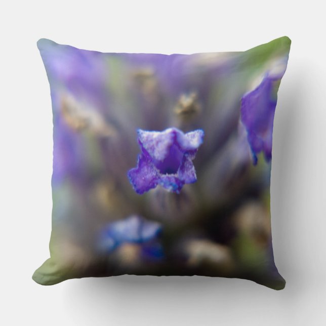 Sweet Lavender Cushion (Front)
