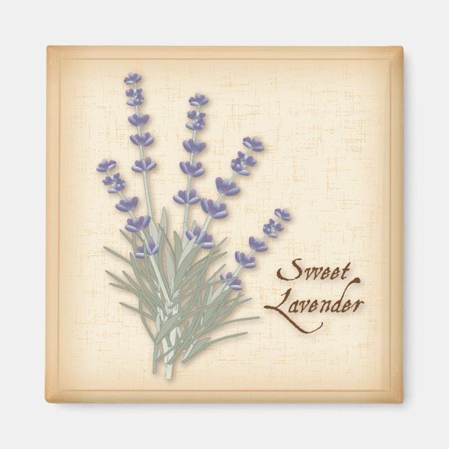 Sweet Lavender Magnet (Front)