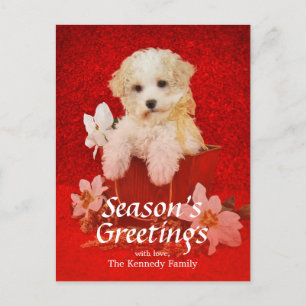 Sweet little Christmas puppy sitting in basket Holiday Postcard