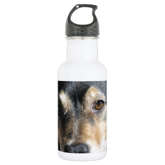 Sweet Little Dog Posing for the Camera 532 Ml Water Bottle