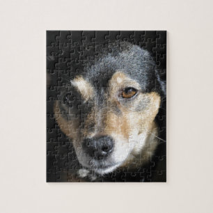 Sweet Little Dog Posing for the Camera Jigsaw Puzzle
