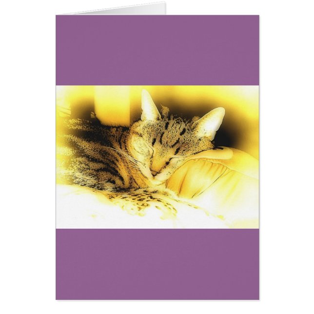 Sweet Little Indigo (Front)