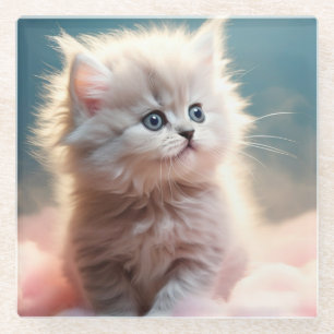 Sweet little kitten  glass coaster
