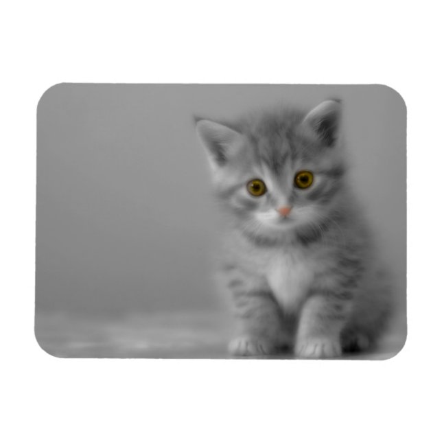 Sweet Little Kitten Magnet (Horizontal)