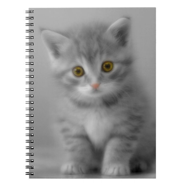 Sweet Little Kitten Notebook (Front)