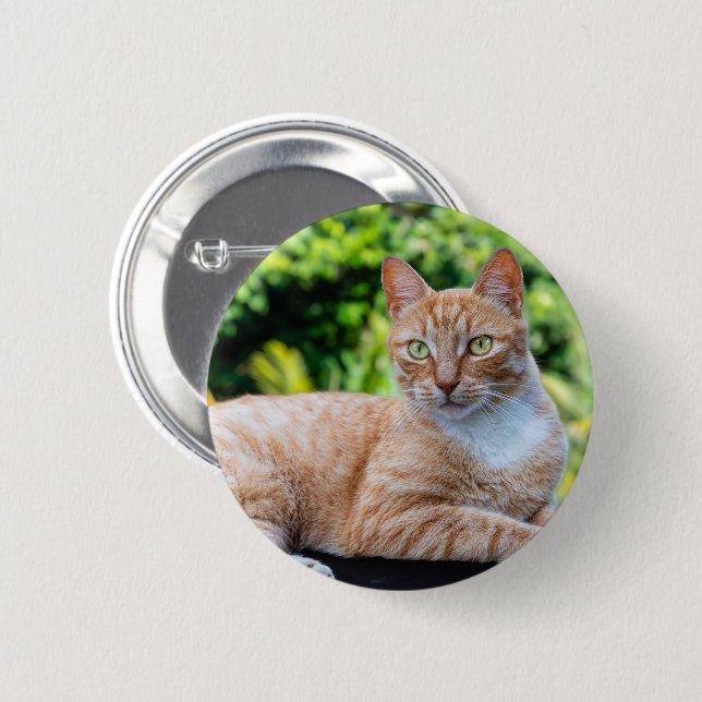 Sweet little kitty 6 cm round badge (Front & Back)