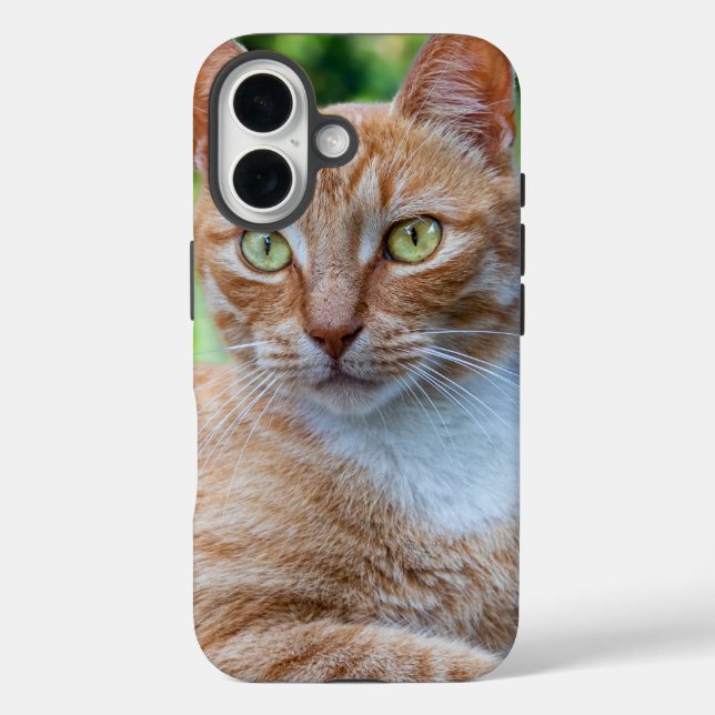 Sweet little kitty Case-Mate iPhone case (Back)